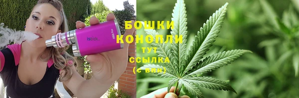 дмт Абаза