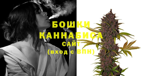 PSILOCYBIN Абдулино