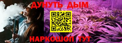 сатива Аргун